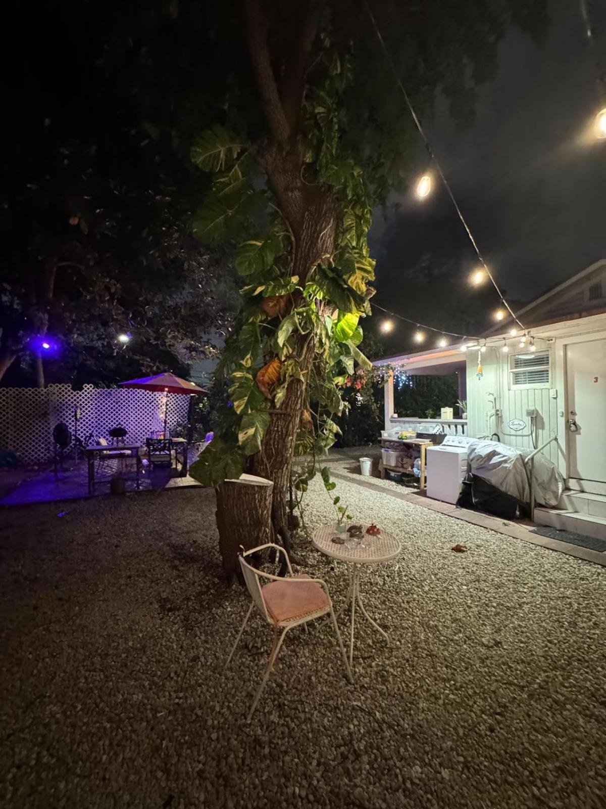 Deluxe Room In Best Location Miami In A 2 Bedrooms Unit - Parking, Laundry And Luggage Storage Exterior photo